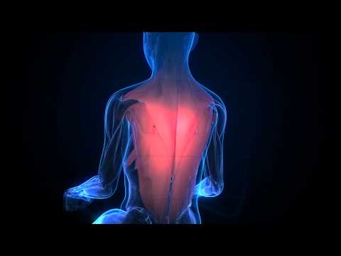 Scan corporel doux — revenir au corps